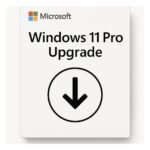 Windows 11 Pro Upgrade