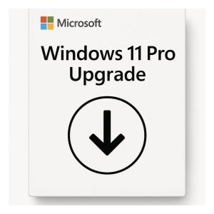 Windows 11 Pro Upgrade